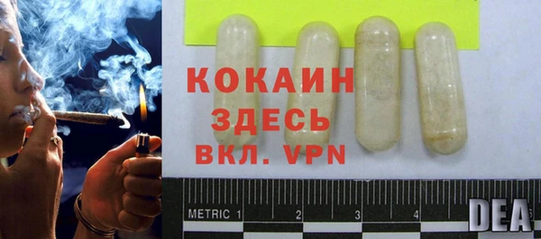 дмт Елизово
