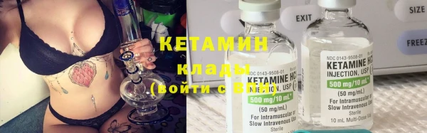 шишки Саяногорск