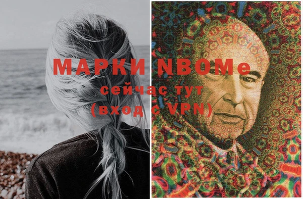 дмт Елизово