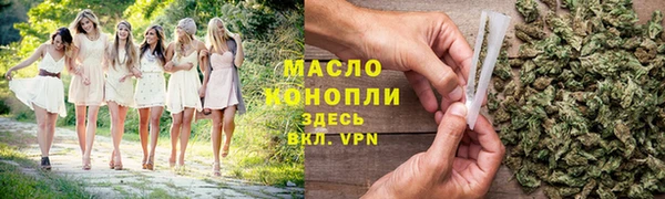 шишки Саяногорск