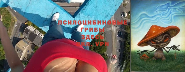 бутират Сатка