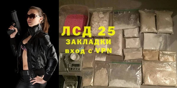 шишки Саяногорск