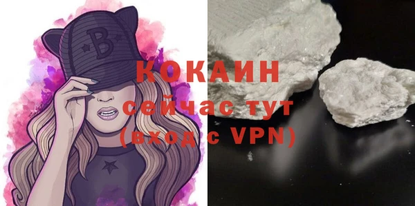 шишки Саяногорск